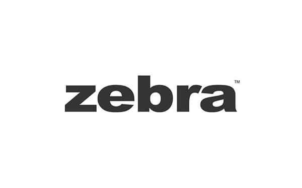 zebra fashion