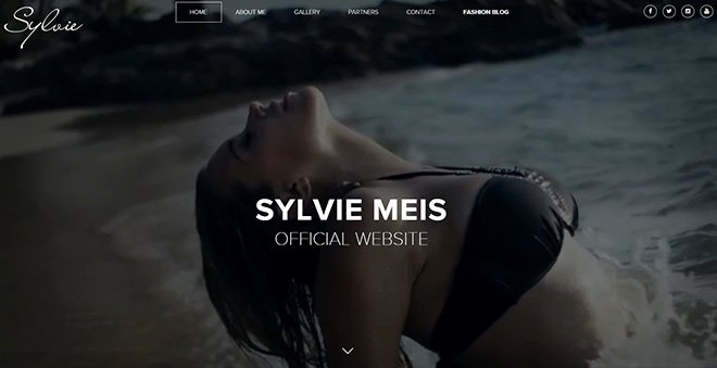 Sylvie Meis Official Website