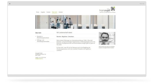 redesign website vorher